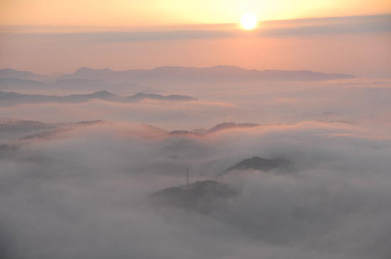 大抚山的晨雾