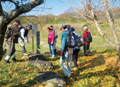 Hiking Courses